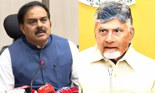 మంత్రి నాదెండ్ల మనోహర్‌కు చంద్రబాబు  ఫోన్.. పరామర్శ