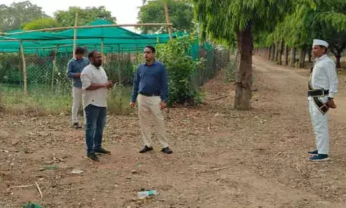 ఉద్యాన నర్సరీలో అవకాడో మొక్కలను అభివృద్ధి చేయాలి :  ఐటీడీఏ పీఓ యువరాజ్ మర్మట్