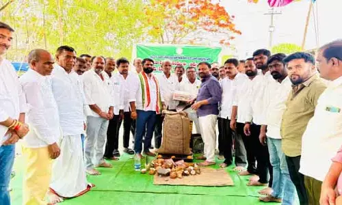 పొద్దుతిరుగుడు పంటను ప్రభుత్వమే కొంటుంది