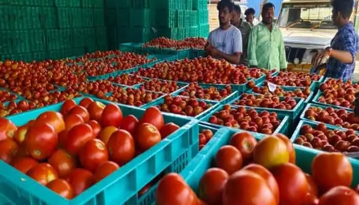 పుంజుకున్న టమాటా ధరలు.. ఇక సామాన్యుడికి భారమేనా? పుంజుకున్న టమాటా ధరలు.. ఇక సామాన్యుడికి భారమేనా?