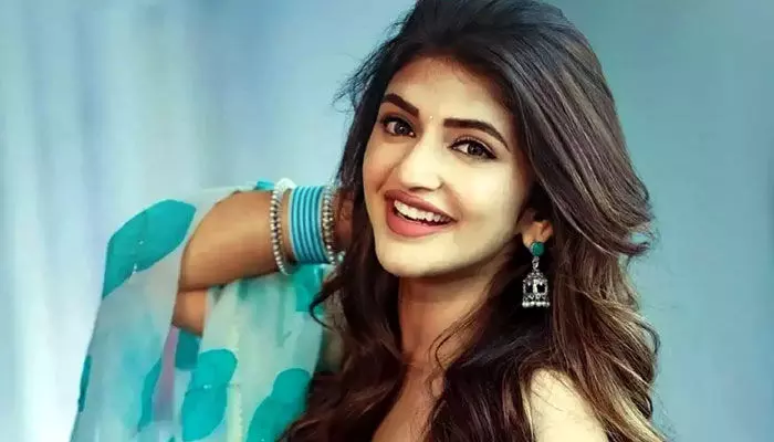 శ్రీలీల బాలీవుడ్ ఎంట్రీకి చిక్కులు శ్రీలీల బాలీవుడ్ ఎంట్రీకి చిక్కులు
