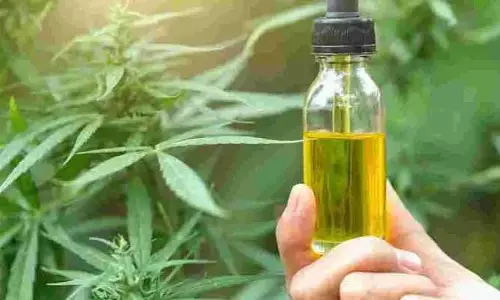 ముగ్గురు యాష్ ఆయిల్ విక్రేతలు అరెస్ట్