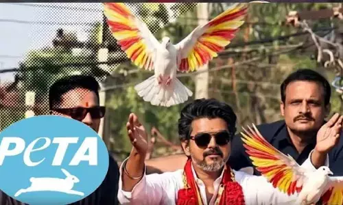 పావురం ఎగురవేసిన విజయ్.. పెటా సీరియస్