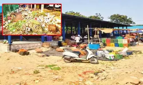 కూరగాయల డంపు.. కుళ్లిన కంపు