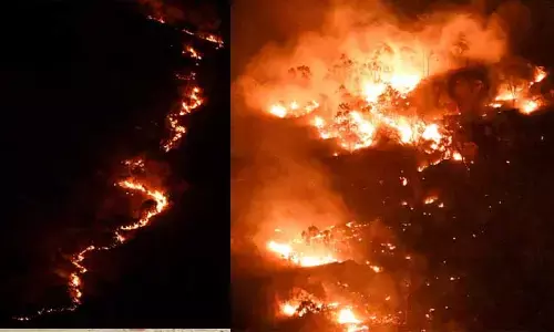శేషాచలం కొండల్లో భారీగా మంటలు