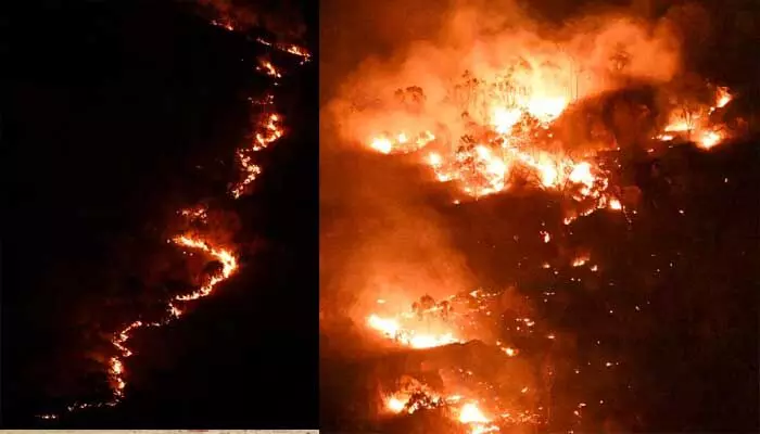 శేషాచలం కొండల్లో భారీగా మంటలు శేషాచలం కొండల్లో భారీగా మంటలు