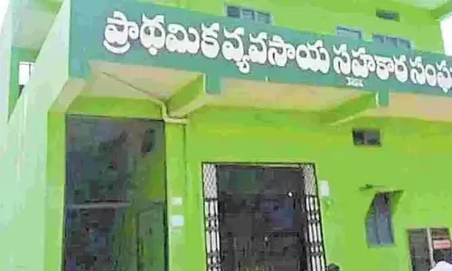 ఇక సహకార సందడి..