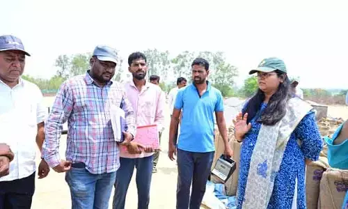 వేగవంతంగా ధాన్యం కొనుగోలు ప్రక్రియ : కలెక్టర్ ప్రతిమా సింగ్