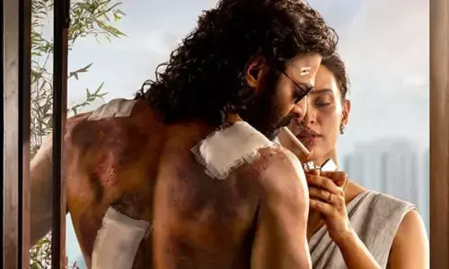 స్పిరిట్‌తో ఆ ఆడియన్స్‌ను టార్గెట్ చేసిన సందీప్ రెడ్డి
