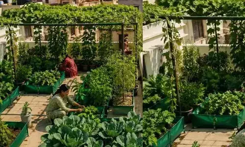 ఏం ఐడియా గురూ.. ఏసీలేకుండానే ఇల్లంతా చల్లగా..!