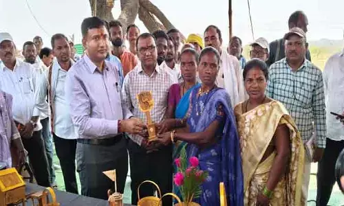 గిరిజన మహిళలు ఆర్థిక ప్రగతి సాధించాలి: కలెక్టర్ రాజర్షి షా