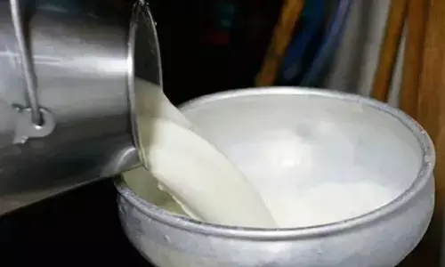 పాలల్లో కాలకూట విషం.. ప్రాణాలతో చెలగాటం!