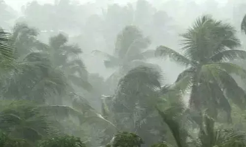 పాలకొండలో భారీ వర్షం.. ఉరుములు, పిడుగులతో బీభత్సం