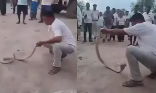 VIRAL: పాములు పట్టేవాడు పాము కాటుకే చచ్చాడు
