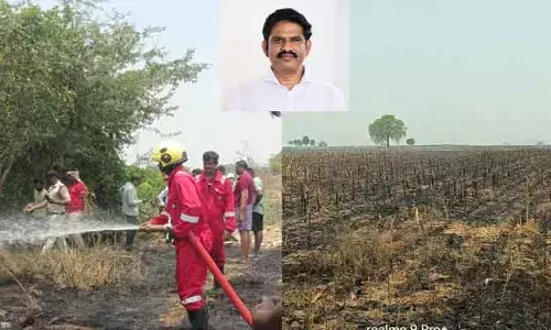 పంట పొలాల్లో అగ్నిప్రమాదం: ఫైర్ సిబ్బందిని అలర్ట్ చేసిన ఎమ్మెల్యే