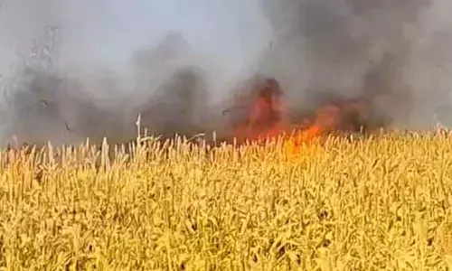 వంద ఎక‌రాల‌కు పైగా జొన్న‌, మొక్క‌జొన్న పంట అగ్నికి ఆహుతి