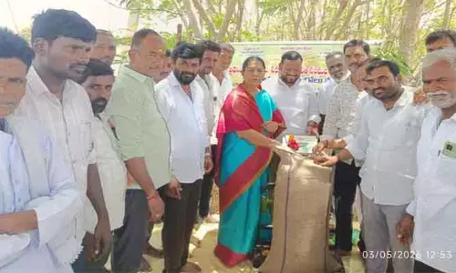 ధాన్యం కొనుగోలు వేగవంతం చేయాలి