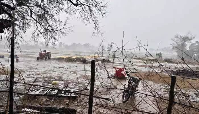 ఈదురు గాలి వాన బీభత్సం.. తడిసిన రైతుల ధాన్యం ఈదురు గాలి వాన బీభత్సం.. తడిసిన రైతుల ధాన్యం