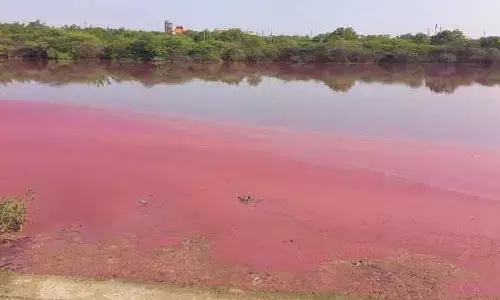 నీటి కాలుష్యం, వ్యాధుల బారిన ప్రజానీకం