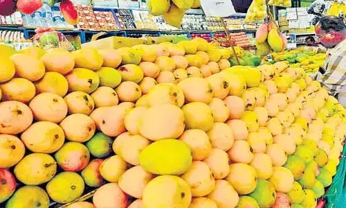 రైతులకు ధరల షాక్.. మామిడి ప్రియులకు పండగే