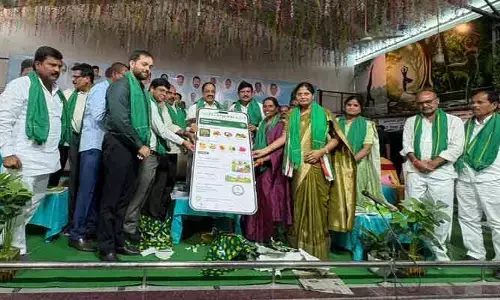 తాండూరులో కందిబోర్డును ఏర్పాటు చేస్తాం : మంత్రి తుమ్మల నాగేశ్వరరావు