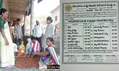 అడవే ఆధారం.. అటవీ ఉత్పత్తులే జీవనాధారం