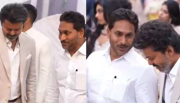తమిళ పాలిటిక్స్లో దళపతి జోరు: ఓ రేంజ్లో సెలెబ్రేట్ చేస్తున్న జగన్ ఫ్యాన్స్! తమిళ పాలిటిక్స్లో దళపతి జోరు: ఓ రేంజ్లో సెలెబ్రేట్ చేస్తున్న జగన్ ఫ్యాన్స్!