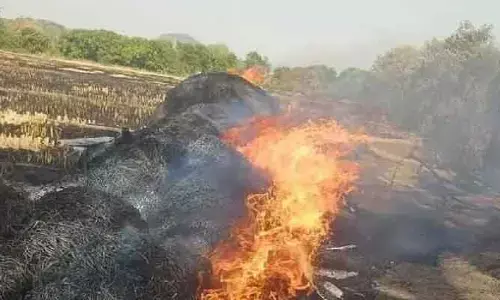 విద్యుత్ షాక్ తో పైపులు, గ‌డ్డివాము ద‌గ్దం