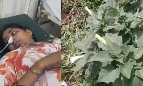 ఇన్‌స్టాగ్రామ్ రీల్ చూసి ‘పప్పుకూర’ ప్రయోగం.. ఒకే కుటుంబంలో నలుగురి పరిస్థితి విషమం