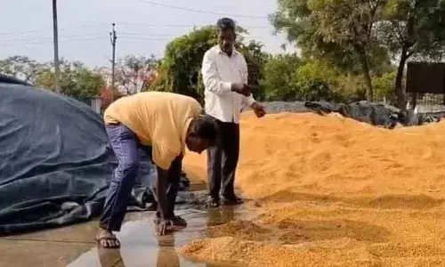 వ‌ర్షానికి త‌డిసిన వ‌డ్లు.. కొనుగోళ్ల‌లో ఆల‌స్యం పై రైతుల ఆందోళ‌న
