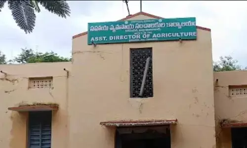 RTI పత్రాలతో బట్టబయలైన ‘వేరుశనగ’ మాయాజాలం