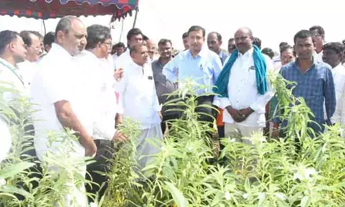 డ్రోన్ సాంకేతికతతో వ్యవసాయంలో మార్పులు: జిల్లా కలెక్టర్ రాజర్షి షా