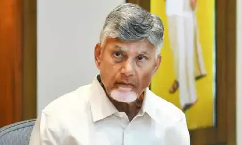 అంతర్జాతీయ మార్కెట్‌ను అందుకోవాలి: సీవీడ్ ఫార్మింగ్‌పై సీఎం కీలక ఆదేశాలు