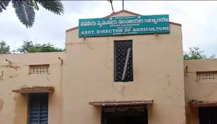 RTI పత్రాలతో బట్టబయలైన ‘వేరుశనగ’ మాయాజాలం RTI పత్రాలతో బట్టబయలైన ‘వేరుశనగ’ మాయాజాలం