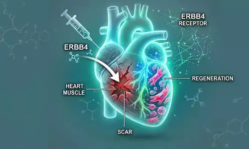 Health : దెబ్బతిన్న గుండె కండరాలను రీప్లేస్ చేయొచ్చా? కొత్త ప్రోటీన్‌ను గుర్తించిన నిపుణులు!