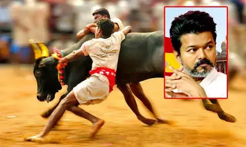 తమిళనాడులో ‘జల్లికట్టు’ తరహా ఉద్యమం.. గవర్నర్‌‌కు విజయ్ ఫ్యాన్స్‌ సంచలన హెచ్చరిక