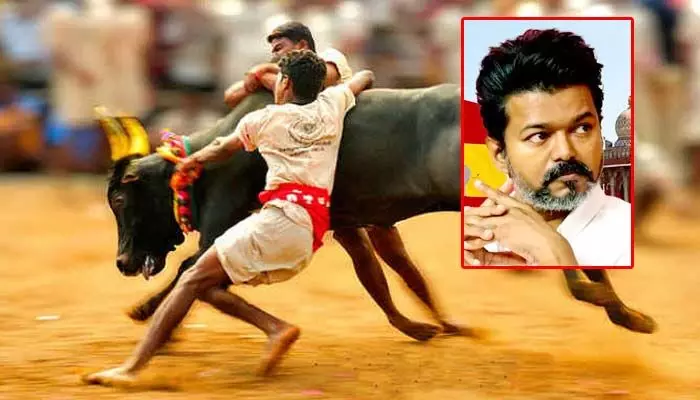 తమిళనాడులో ‘జల్లికట్టు’ తరహా ఉద్యమం.. గవర్నర్కు విజయ్ ఫ్యాన్స్ సంచలన హెచ్చరిక తమిళనాడులో ‘జల్లికట్టు’ తరహా ఉద్యమం.. గవర్నర్కు విజయ్ ఫ్యాన్స్ సంచలన హెచ్చరిక
