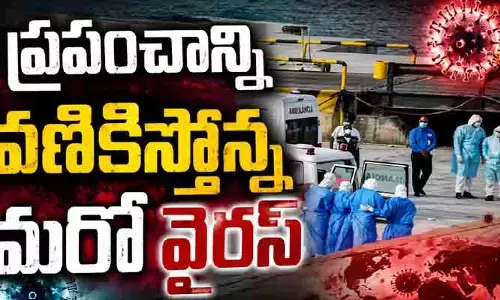ప్రపంచాన్ని వణికిస్తోన్న మరో వైరస్.. క్రూయిజ్ షిప్‌లో ముగ్గురు మృతి