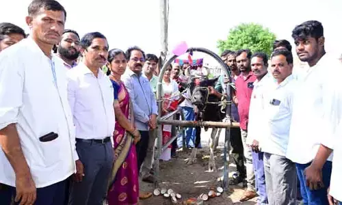 పశుసంవర్ధక రంగం గ్రామీణ ఆర్థిక వ్యవస్థకు వెన్నెముక..