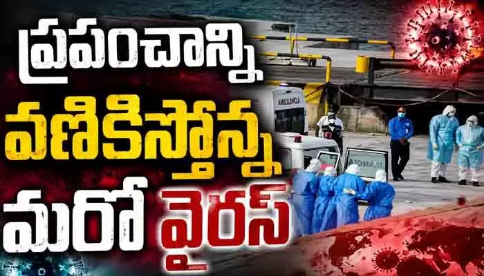 ప్రపంచాన్ని వణికిస్తోన్న మరో వైరస్.. క్రూయిజ్ షిప్లో ముగ్గురు మృతి ప్రపంచాన్ని వణికిస్తోన్న మరో వైరస్.. క్రూయిజ్ షిప్లో ముగ్గురు మృతి