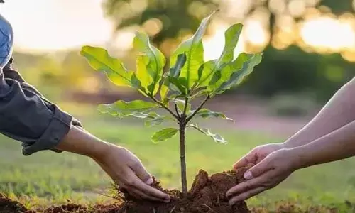 మూగబోతున్న వర్షగానం