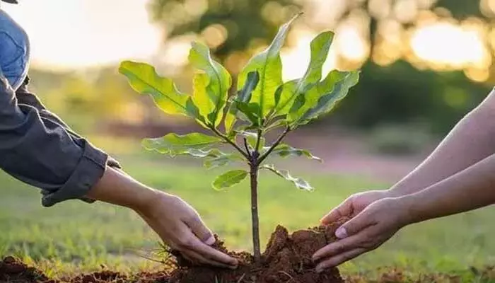మూగబోతున్న వర్షగానం మూగబోతున్న వర్షగానం