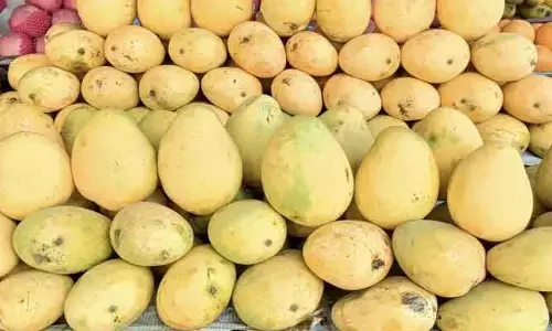 నిగనిగ పండు.. లోపల విషం మెండు!