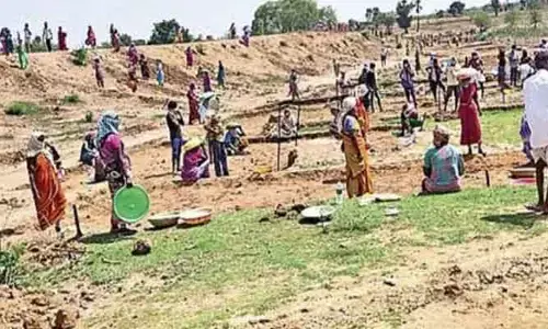 ఉపాధి హామీ అక్రమాలపై మరోసారి ఫిర్యాదు