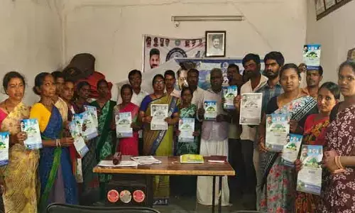 పంట మార్పిడితో అధిక దిగుబడి