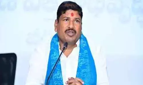 విత్తనాభి సంస్థ పంపిణీ చేసే సీడ్స్ తోనే రైతులకు మేలు