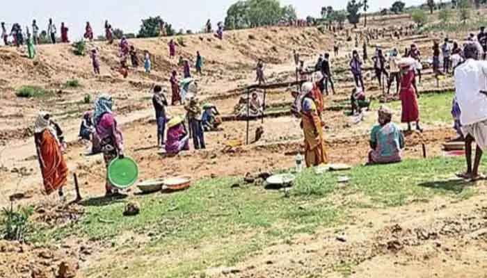 ఉపాధి హామీ అక్రమాలపై మరోసారి ఫిర్యాదు ఉపాధి హామీ అక్రమాలపై మరోసారి ఫిర్యాదు