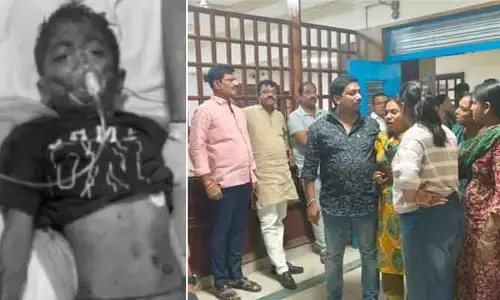 నగరం నడిబొడ్డున దారుణం: చిన్నారిపై ఏకంగా 10 వీధి కుక్కల దాడి