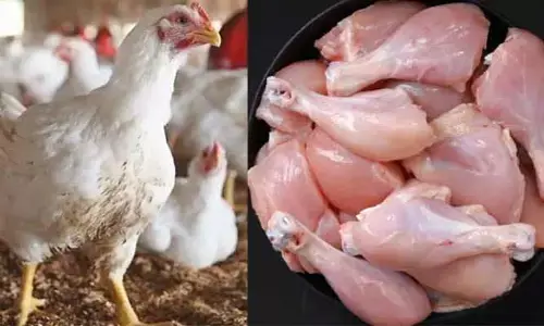 నాన్‍వెజ్ లవర్స్ కు షాక్.. భారీగా పెరిగిన చికెన్ ధరలు.. త్వరలో కేజీ 400?