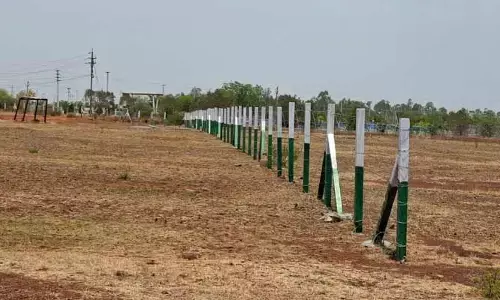 పెట్టుబడి పెడదాం రండి.. నిమ్జ్‌తో భవిష్యత్ బంగారం!
